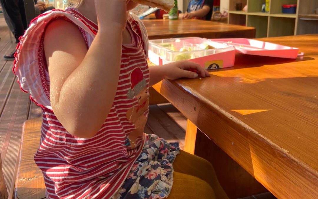 Supporting Regulation at Mealtimes