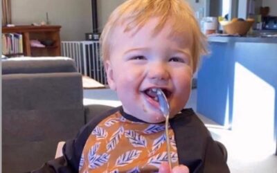 Introduction to Starting Solids