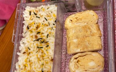 Navigating the School Lunch Box